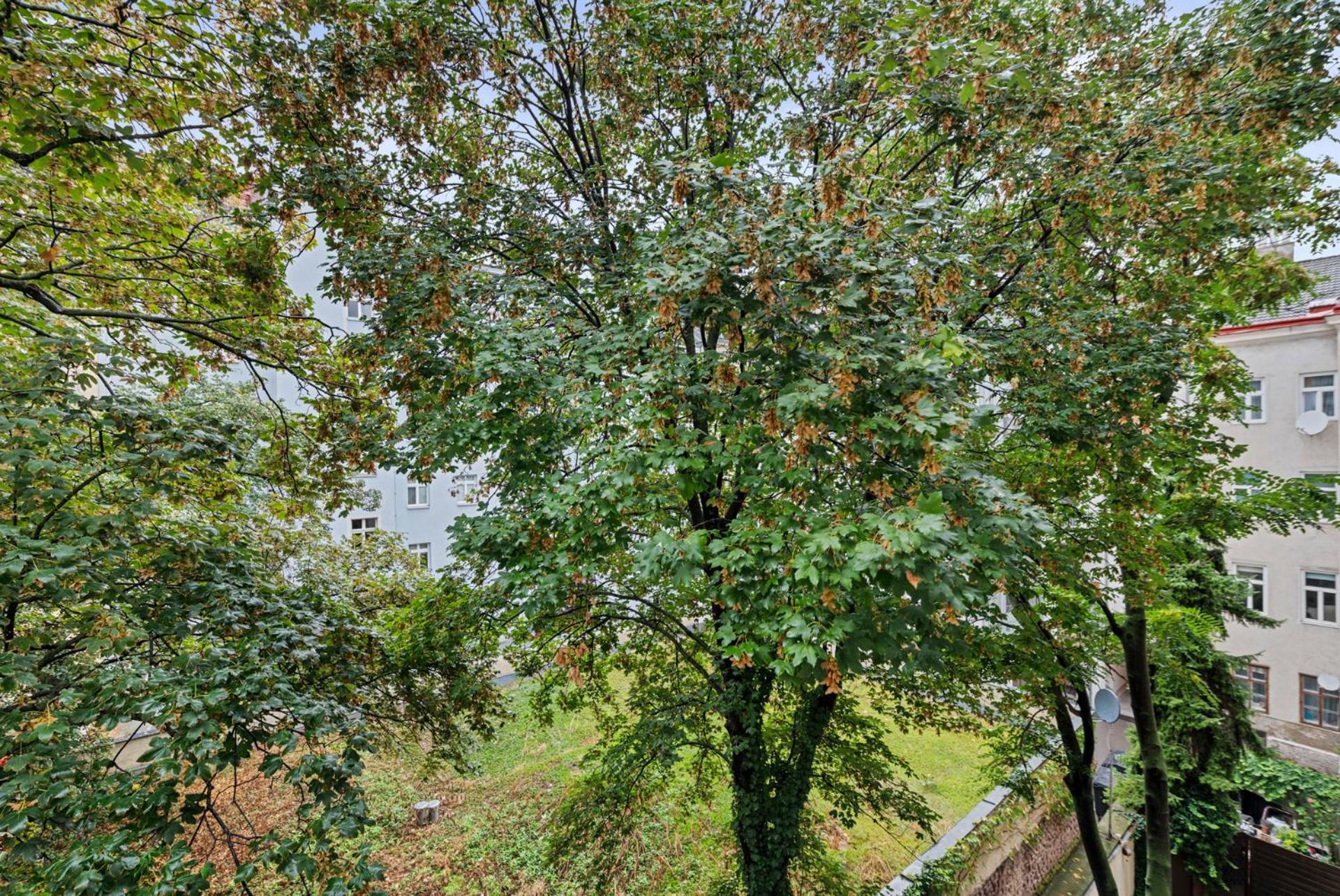 Cozy, Generous City Apartment - 10 Min To City-Centre - Contactless 24H Check-In Wiedeń Zewnętrze zdjęcie